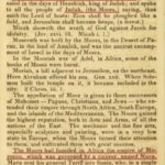 Judah belongs to the Maurs Book quote from, "Light and Truth" -Judah belongs to the Moors